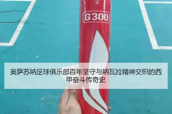 奥萨苏纳足球俱乐部百年坚守与纳瓦拉精神交织的西甲奋斗传奇史